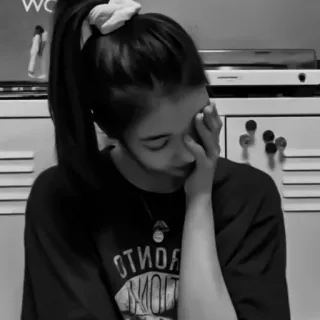 🦊 a453a587 telegram sticker