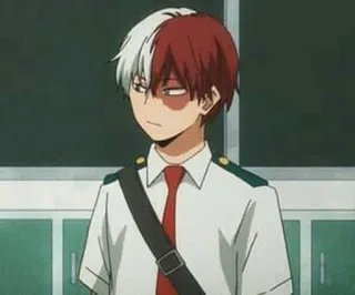 🇨🇦 3a544dd7 Shoto Todoroki My Hero Academia Anime, My Hero Academia, Shoto Todoroki, Charakter, Schuluniform whatsapp sticker