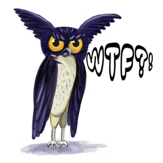 🤨 f9438d4a WTF?! นกฮูก, การ์ตูน, คำหยาบ, wtf, สแลง telegram sticker