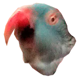 😈 f7a98e42 whatsapp sticker