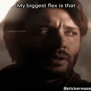 😝 4669697a My biggest flex is that Мем, Флекс, Хвастовство, Юмор telegram sticker
