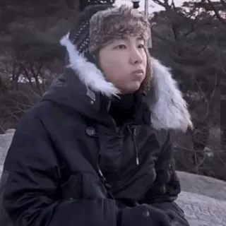 🐚 1302d231 telegram sticker