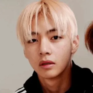 🐚 23ff533f telegram sticker