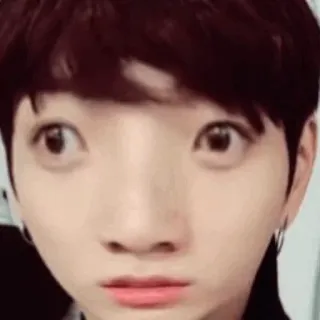 🐚 9d230188 telegram sticker