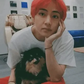 🐚 de07aad5 orang, anjing, dalam ruangan, hewan peliharaan, potret, rambut merah telegram sticker