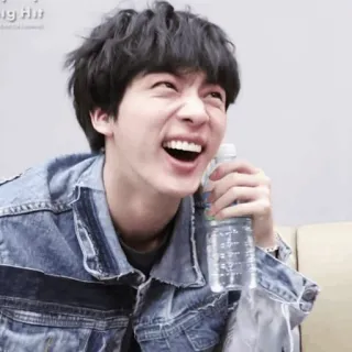 🐚 fd59712d Jin K-pop, penyanyi, idola, pria, hiburan, senyum telegram sticker