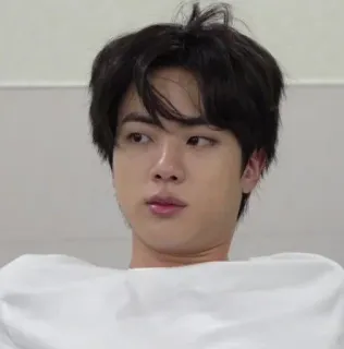 🥢 55032c96 Jin kpop, sänger, promi, jin, bangtan, bts telegram sticker