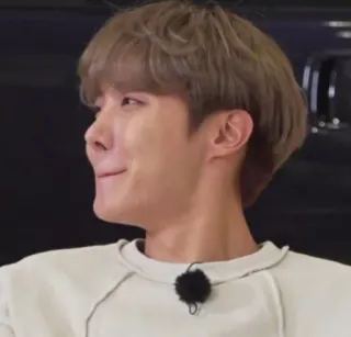 🥢 781b3dcb J-Hope person, K-Pop, Sänger, BTS telegram sticker