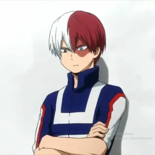 🔥 d7ca9285 Shoto Todoroki My Hero Academia Anime, My Hero Academia, Shoto Todoroki, Personnage, Manga telegram sticker