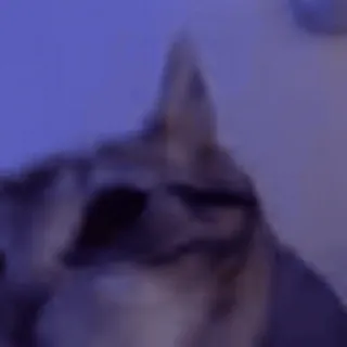 🌟 e58aeea8 telegram sticker