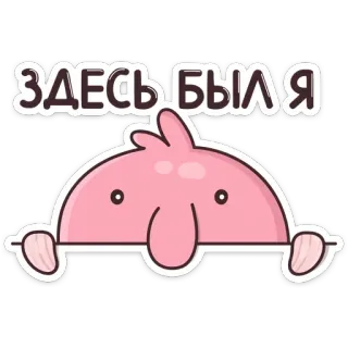 👀 14b4af1e ЗДЕСЬ БЫЛ Я 水滴鱼, 偷看, 卡通, 动物, 可爱, 搞笑, 俄语 telegram sticker