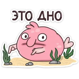 👎 830673de ЭТО ДНО 水滴鱼, 鱼, 粉色, 海, 海洋, 搞笑, 卡通 telegram sticker