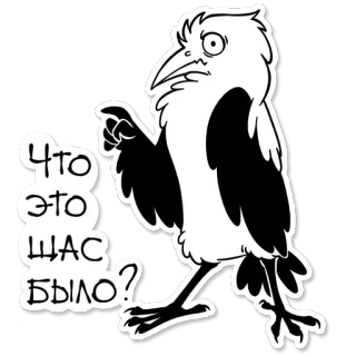 😟 1e05ccad Что это щас было? Vogel, Frage, verwirrt, lustig, russisch, Text telegram sticker