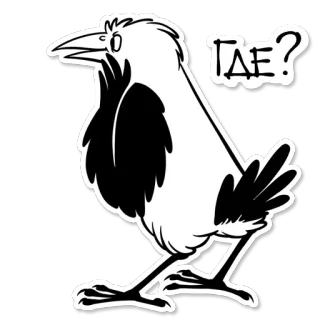 👀 4e99193c ГДЕ? Vogel, Krähe, Russisch, Frage, Cartoon telegram sticker