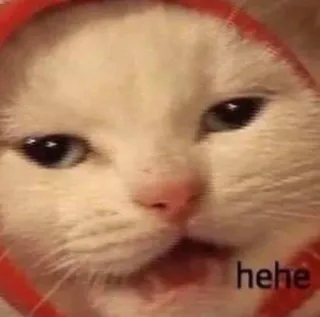 😏 0389a777 hehe kot, hehe, mem, zwierzę, śmieszne, słodkie telegram sticker