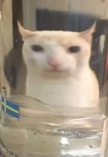 BOH, SONO IO telegram stickers