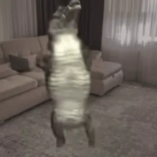 🥳 ba63e00d whatsapp sticker