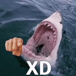 😂 e663e7e0 XD shark, ocean, animal, funny, meme, xd whatsapp sticker