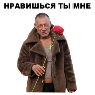 🌹 bc0545b0 НРАВИШЬСЯ ТЫ МНЕ ผู้ชาย, ดอกไม้, เสื้อโค้ท, กุหลาบ, ความรัก telegram sticker