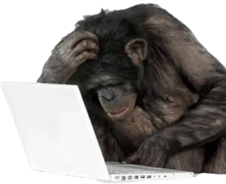 💻 2c75cce1 kera besar, monyet, laptop, berpikir, hewan, komputer telegram sticker