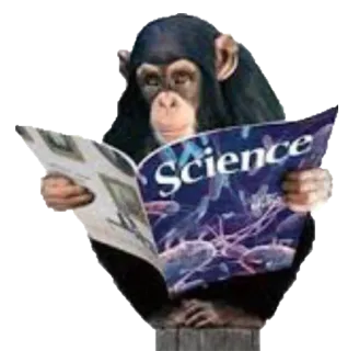 Heyvoon telegram stickers