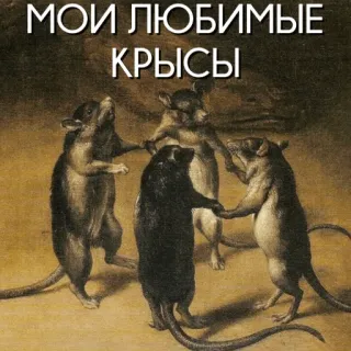 🐁 25c352cd МОИ ЛЮБИМЫЕ КРЫСЫ rats, animaux, cercle, peinture, rongeurs whatsapp sticker