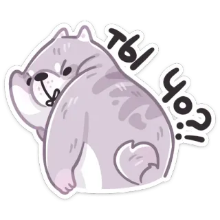 🤨 3481fcd4 Ты чё? chien, mignon, animal, russe, question, drôle, mème telegram sticker