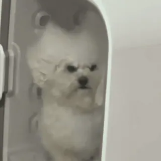 🫐больше тут➡️ @emojipipka telegram stickers