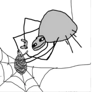 🚬 c8b876b3 laba-laba, jaring laba-laba, kartun, laba-laba menangkap mangsa, gambar telegram sticker