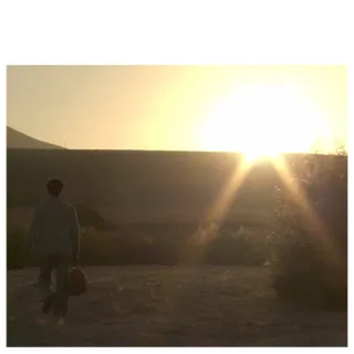 ☀️ ed485761 sunset, landscape, person, walking, field, nature telegram sticker