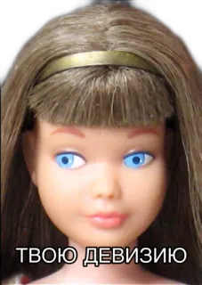 🤦‍♀️ 090441ab ТВОЮ ДЕВИЗИЮ telegram sticker