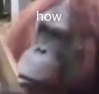 😳 143b1cee how обезьяна, мем, животное, смешно, вопрос, как telegram sticker