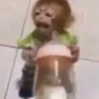 Гориллы by @fStikBot whatsapp stickers