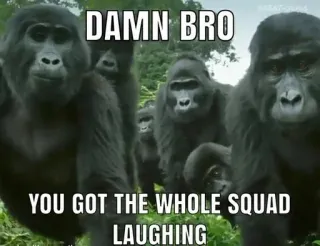 😂 8df24534 DAMN BRO
YOU GOT THE WHOLE SQUAD LAUGHING Горилла, Мем, Команда, Животные, Смешной, Шутка telegram sticker
