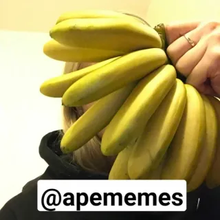 🍌 a14501d2 @apememes Мем, Банан, Юмор, Обезьяна, Смешно telegram sticker