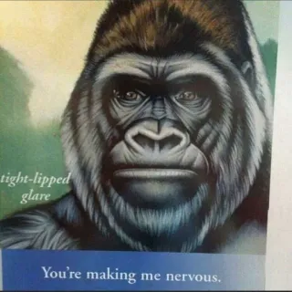 😰 ca1b703d tight-lipped glare
You're making me nervous. горилла, животное, нервный, обезьяна, примат, иллюстрация telegram sticker