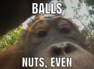 🎲 e03542ac BALLS
NUTS, EVEN обезьяна, орангутан, животное, мем, смешной telegram sticker
