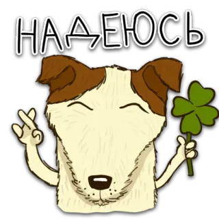 🤞 36f0d53c НАДЕЮСЬ chien, trèfle, chance, peace and love, espoir, russe, texte, autocollant whatsapp sticker