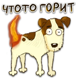 🥵 586dddf4 ЧТОТО ГОРИТ chien, feu, dessin animé, texte russe, animal whatsapp sticker