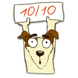 💯 77db8aa8 10/10 chien, animal, score, note, 10/10, drôle, mignon whatsapp sticker