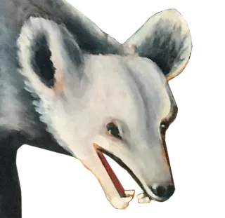 🐻 dffbc2a6 animal, gray, dog, wolf, canine, portrait telegram sticker