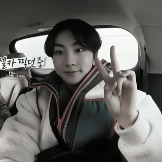 🥽 239e2da7 셀카 찍던중 pessoa, selfie, sinal de paz, coreano, carro, retrato telegram sticker