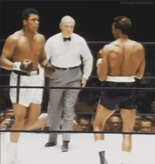 Boxing @stickersb2b whatsapp stickers