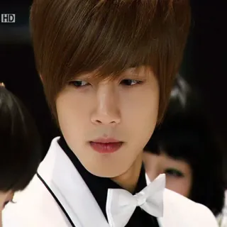 @JONAFZAN BOYS OVER FLOWERS telegram stickers