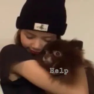 Blackpink mem telegram stickers