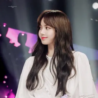 🌚 6b220f52 Lisa kpop, 歌手, 音楽, 女性, アイドル telegram sticker