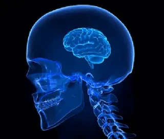 Brain Meme telegram stickers