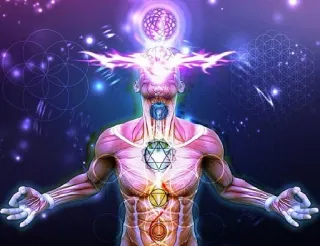 Brain Meme whatsapp stickers