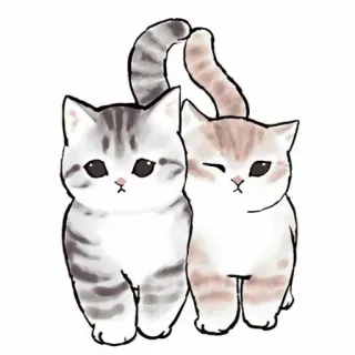 🥞 537a6899 แมว, ลูกแมว, สัตว์, น่ารัก, สัตว์เลี้ยง telegram sticker