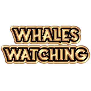 🐋 63f1f3f1 WHALES WATCHING ballenas, observación, océano, mar, animales, naturaleza, vida marina telegram sticker